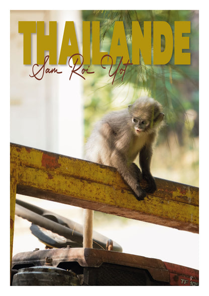 Petit aventurier