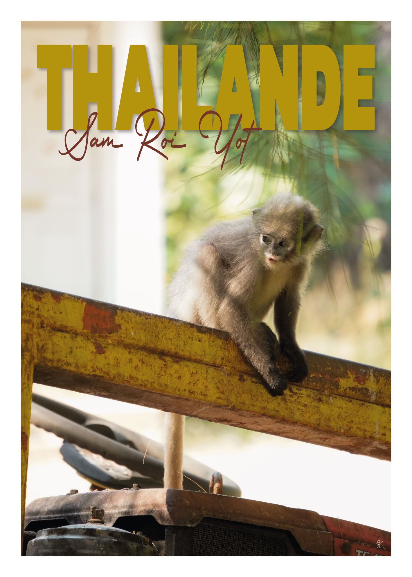 Petit aventurier
